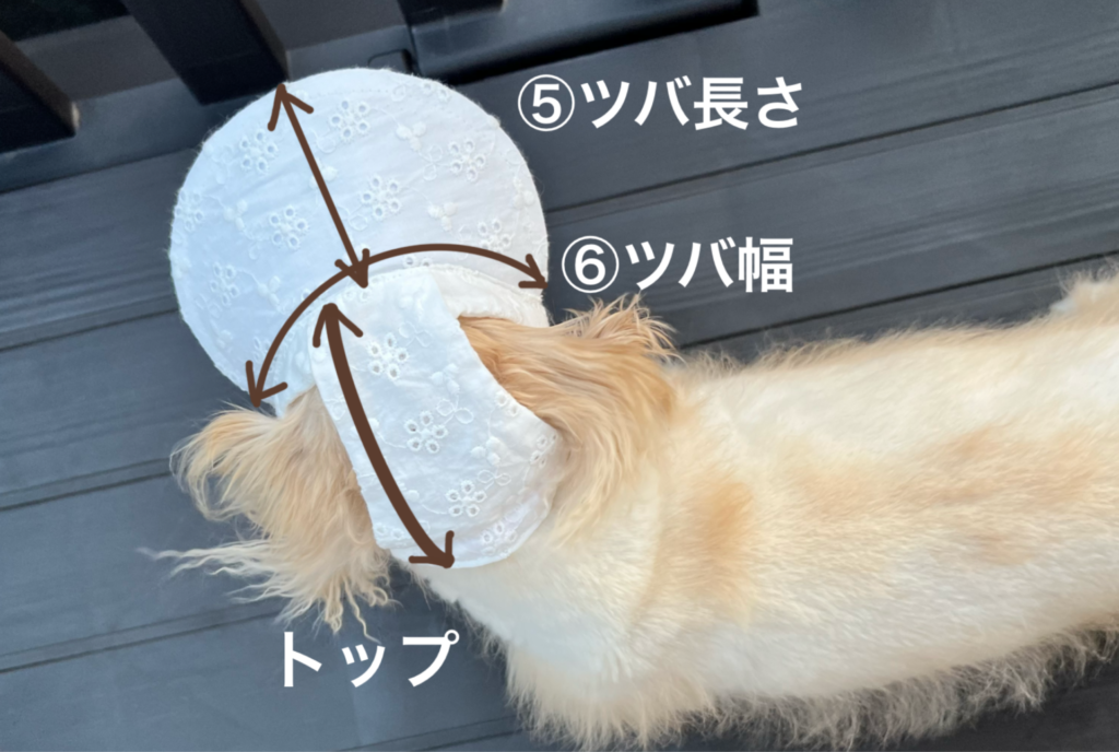 犬の帽子 測り方