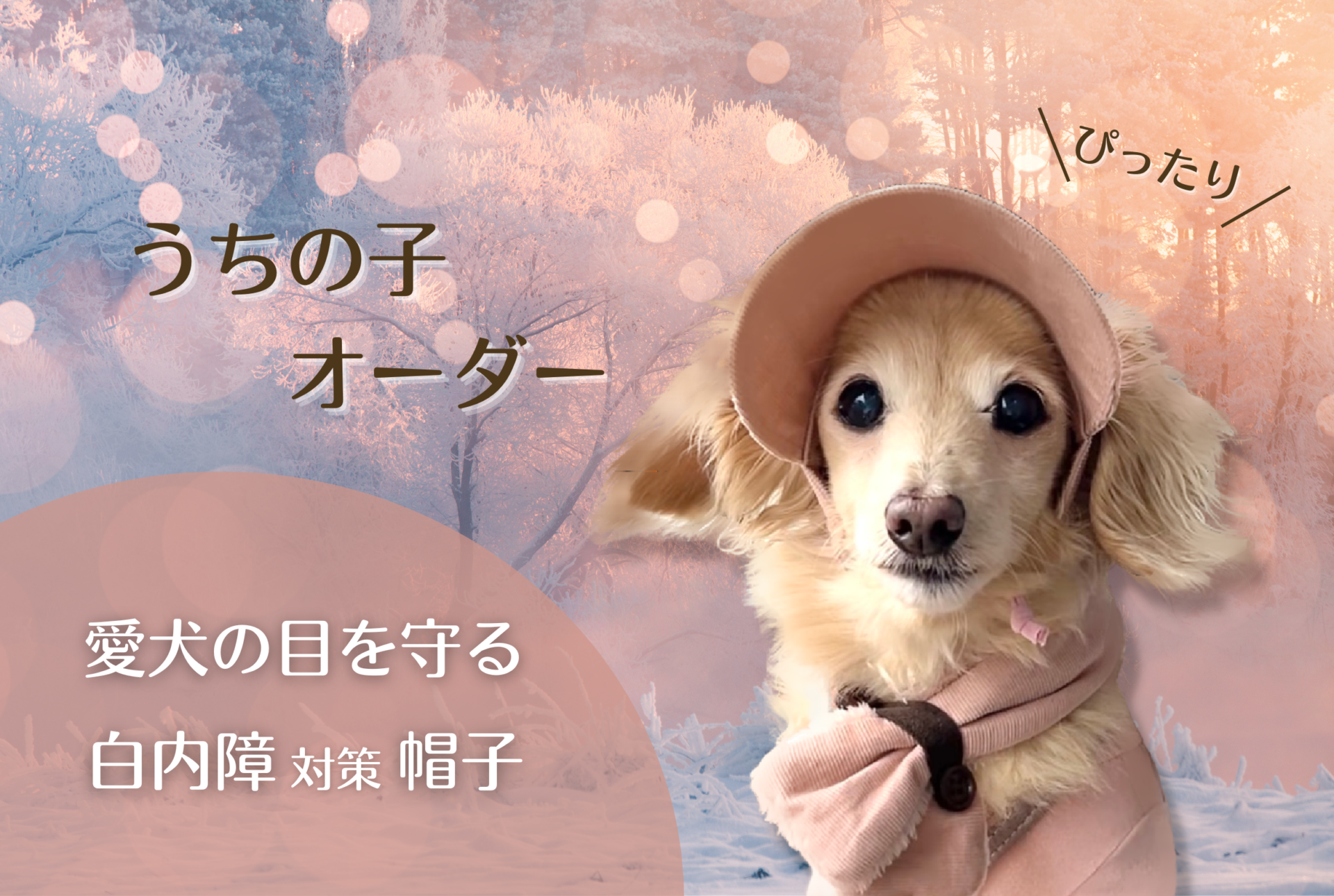 犬の帽子