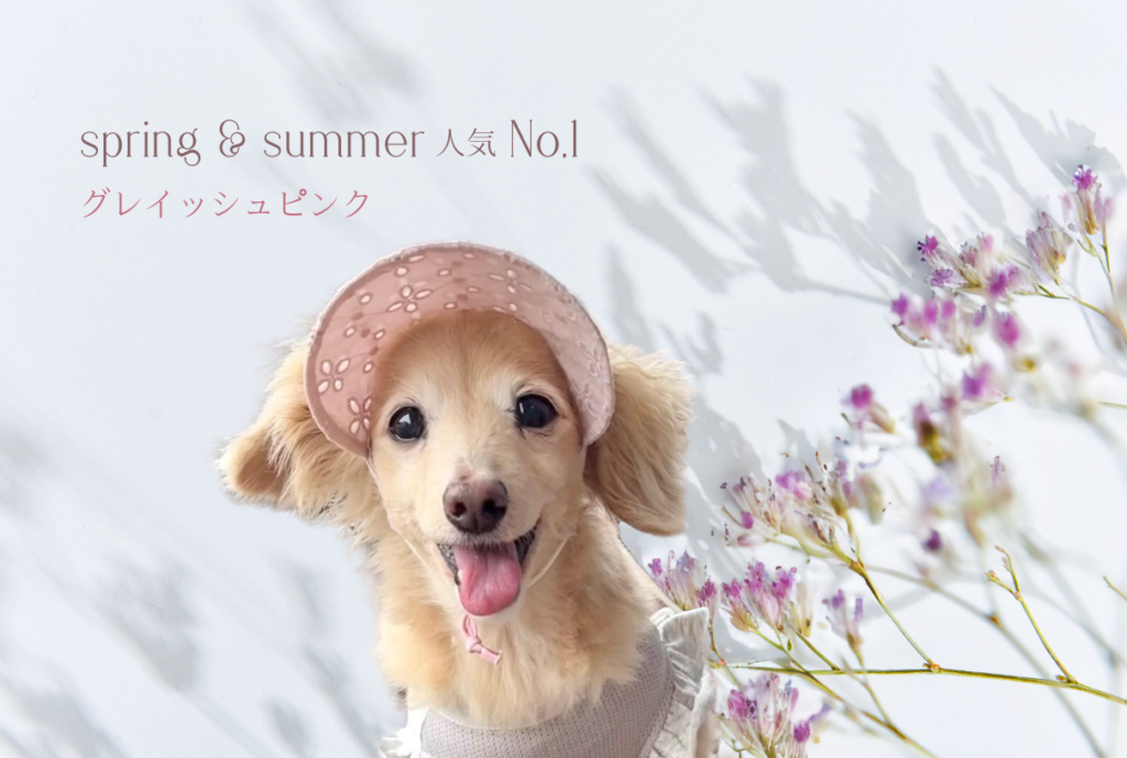 犬の帽子