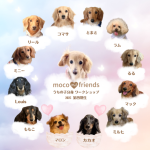 うちの子分身ワークショップ