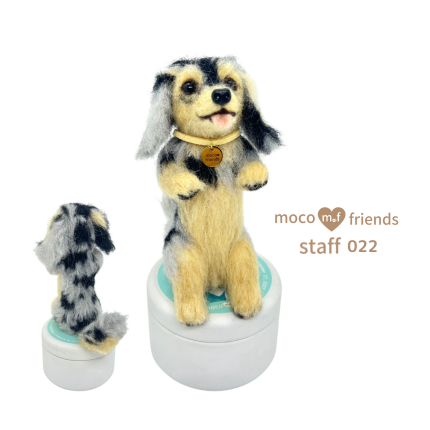 モコフレンズ 分身スタッフ