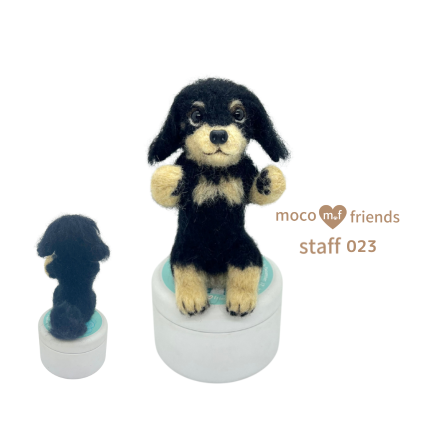 モコフレンズ 分身スタッフ