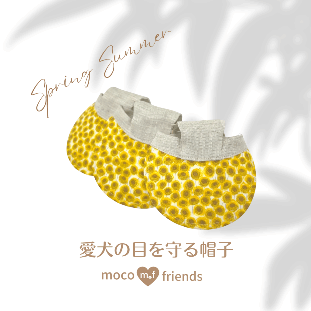 犬の帽子